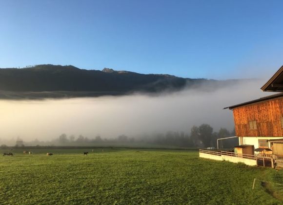 Urlaub am Bauernhof Hotel Flatscher