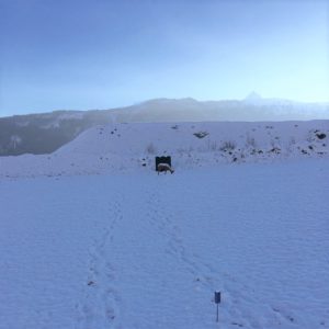 Bogenschießen Urlaub Winter Österreich