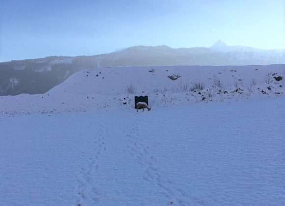 Bogenschießen Urlaub Winter Österreich