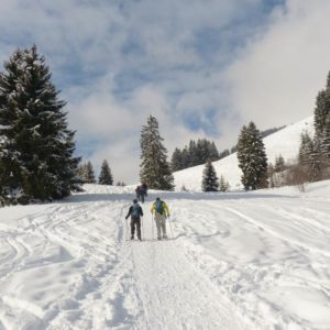 winterurlaub salzburger land